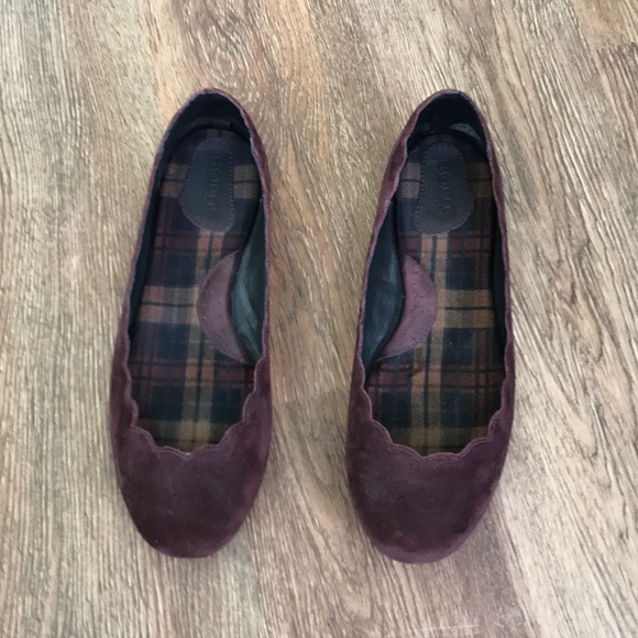 Born Shoes - Purple velvet flats